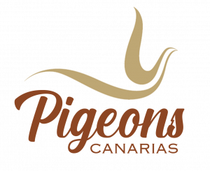 Pigeons Canarias